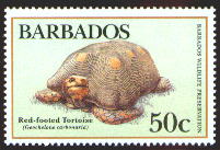 sample stamp