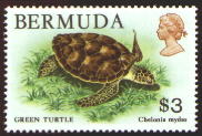 sample stamp