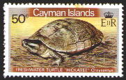 sample stamp