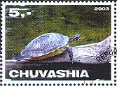 sample stamp