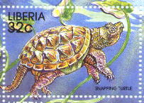 sample stamp
