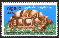 sample stamp