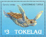 sample stamp