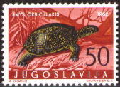 sample stamp