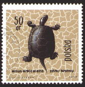 sample stamp